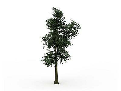 3d公园树模型