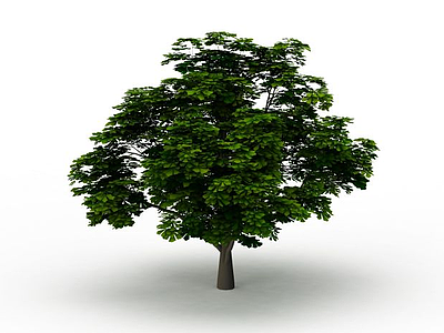3d公园小树免费模型