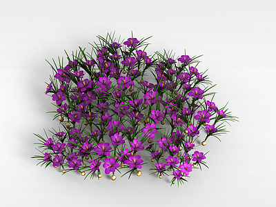 紫色花模型3d模型
