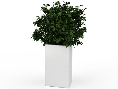 室内绿植模型3d模型