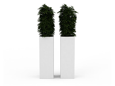 3d办公酒店植物免费模型