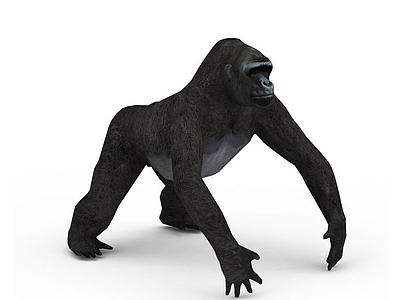 大猩猩模型3d模型