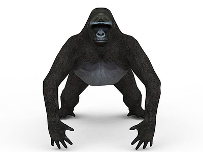猩猩模型3d模型