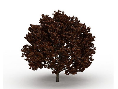 园林大树模型3d模型