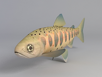 3d多彩海鱼免费模型