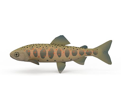 海鱼模型3d模型