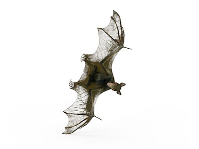3d飛行動物蝙蝠夜行動物免費模型