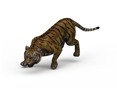 老虎模型3d模型