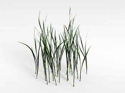 3d野草模型