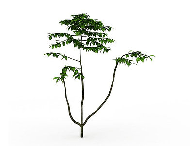3d绿色树木模型