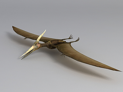 3d飛行恐龍免費模型