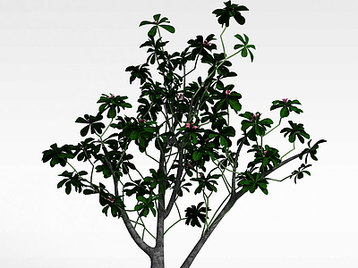 3d园林装饰树模型