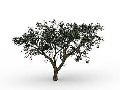 3d公园大树模型