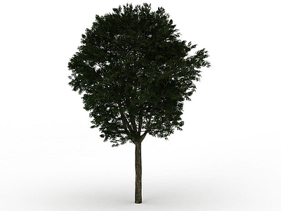 园林绿化大树模型3d模型