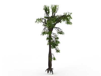稀有植物模型3d模型