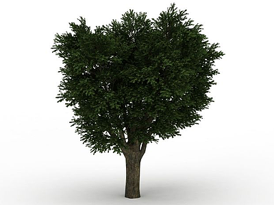粗壮大树模型