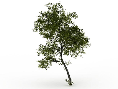3d小树免费模型
