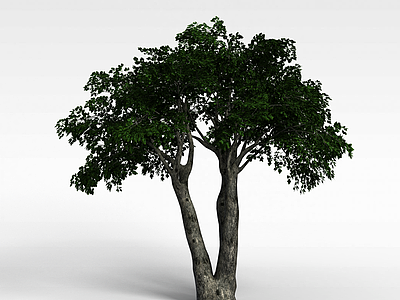 园林植物大树模型3d模型