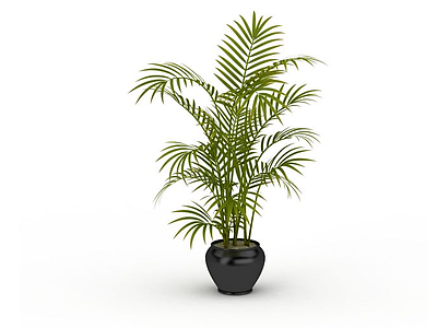 3d净化空气植物盆栽免费模型