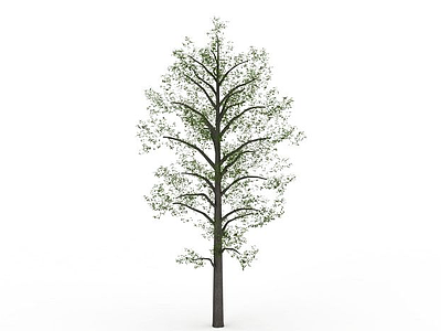 公园树模型3d模型
