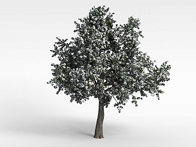 开花大树模型3d模型