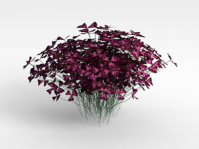 蝴蝶花植物模型3d模型