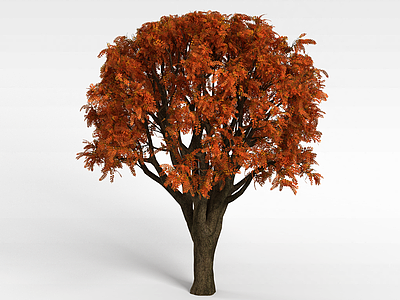 3d公园秋冬树模型