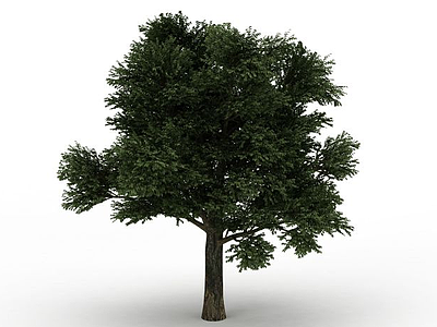 公园绿树模型3d模型