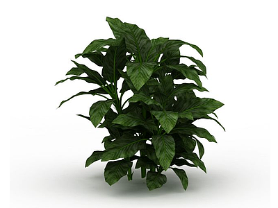 3d灌木植物模型
