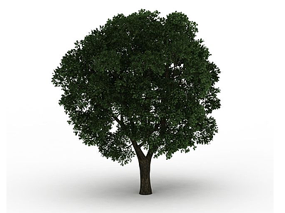 3d<font class='myIsRed'>园林</font>大树模型