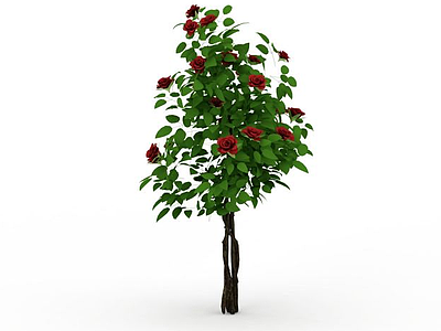 月季花树模型3d模型