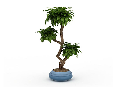 3d异形树盆景免费模型