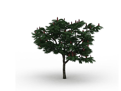 园林景观大树模型3d模型