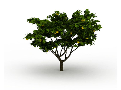 3d橘子树免费模型