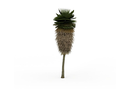 3d热带植物免费模型