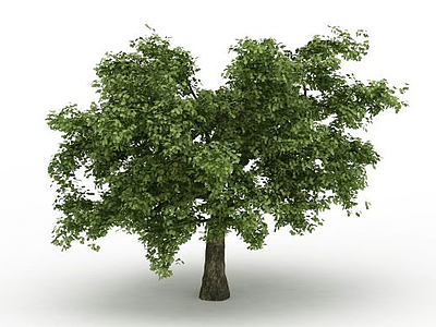 3d茂盛大树免费模型