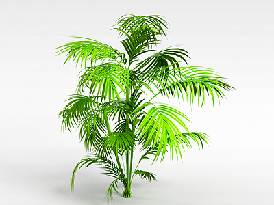 热带灌木模型3d模型