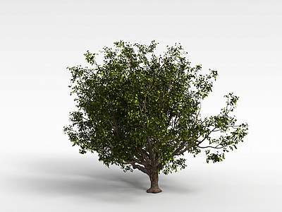 园林绿化树模型3d模型
