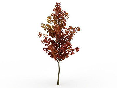 路边秋冬树模型3d模型