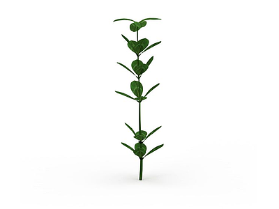 绿叶植物模型3d模型