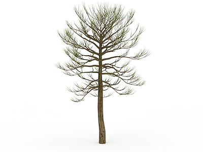 奇异细叶树模型3d模型
