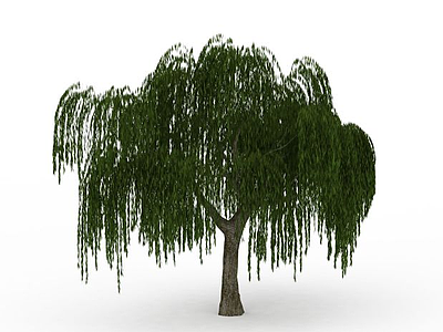 公园大柳树模型3d模型