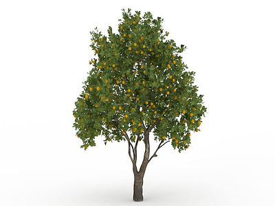 3d桔子树模型