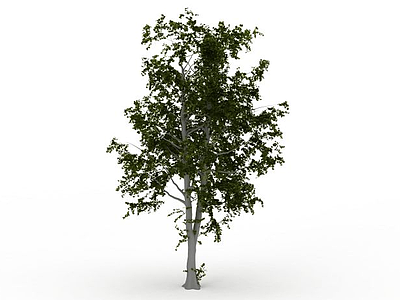 3d园林树模型
