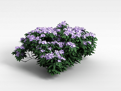 灌木紫色花株模型3d模型