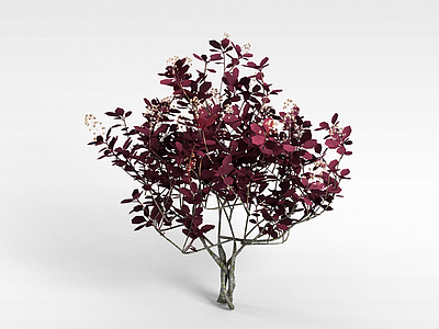 红色开花灌木模型3d模型