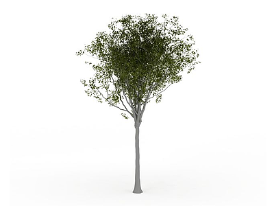 3d大树模型