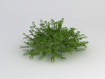 3d室外绿植灌木模型