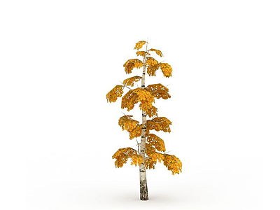 3d银杏树免费模型