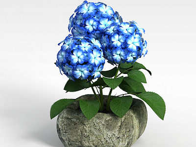 3d蓝色装饰花模型